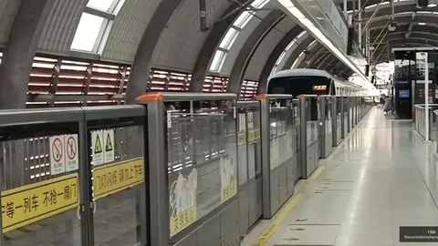 2026年新势力崛起：两周揽获13市场，新模型前瞻